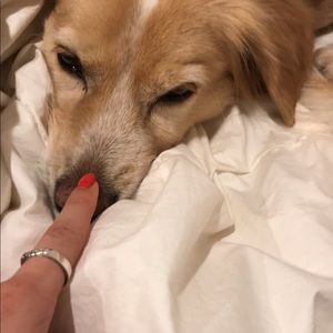 Meet your Posher, Mia